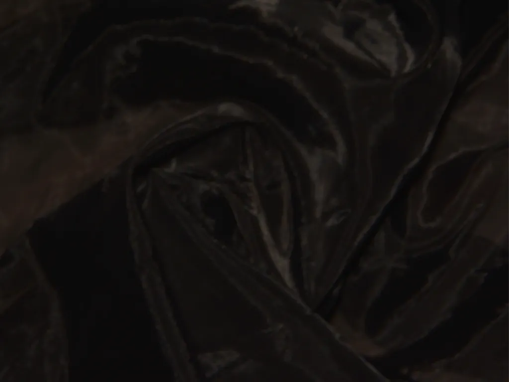 Jet Black Liquid Nylon Organza Fabric (Wholesale)